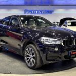 BMW X6 xDrive35i 225 kW (306 CV)