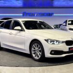 BMW Serie 3 318d Business 110 kW (150 CV)