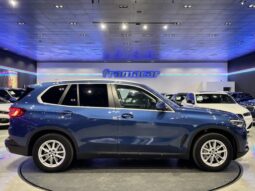 BMW X5 xDrive25d 170 kW (231 CV)