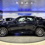 BMW X6 xDrive35i 225 kW (306 CV)