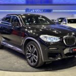BMW X4 xDrive20i 135 kW (184 CV)