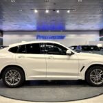 BMW X4 xDrive20i 135 kW (184 CV)