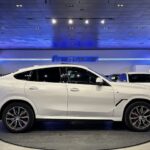 BMW X6 xDrive30d 219 kW (298 CV)