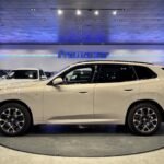BMW X3 xDrive20d 145 kW (197 CV)
