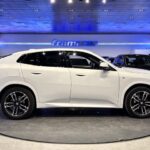 BMW X2 xDrive20d 120 kW (163 CV)