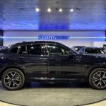 BMW X4 xDrive20d xLine 140 kW (190 CV)