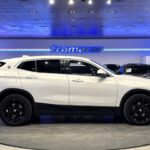 BMW X2 xDrive20i 141 kW (192 CV)