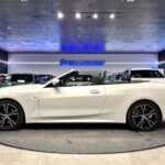 BMW Serie 4 420i Cabrio 135 kW (184 CV)