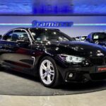 BMW Serie 4 420i Cabrio 135 kW (184 CV)