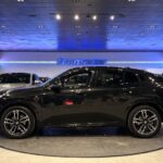 BMW X2 sDrive20d 120 kW (163 CV)