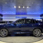 BMW X4 xDrive20d xLine 140 kW (190 CV)