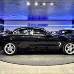 BMW Serie 4 420i Cabrio 135 kW (184 CV)