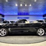 BMW Serie 4 420i Cabrio 135 kW (184 CV)