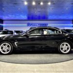 BMW Serie 4 420i Cabrio 135 kW (184 CV)