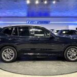 BMW X3 xDrive30d 195 kW (265 CV)