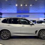 BMW X5 xDrive30d xLine 219 kW (298 CV)
