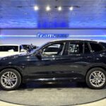 BMW X3 xDrive30d 195 kW (265 CV)