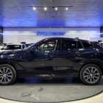 BMW X6 xDrive30d 210 kW (286 CV)