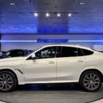 BMW X6 xDrive30d M Sport 219 kW (298 CV)