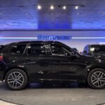 BMW X1 xDrive25e 180 kW (245 CV)