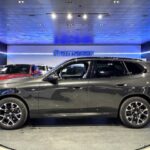 BMW X3 xDrive20d 145 kW (197 CV)
