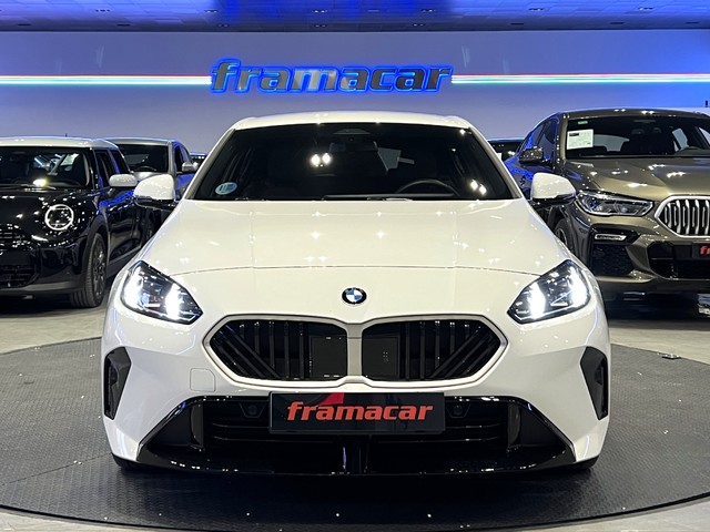 BMW Serie 1 120d 120 kW (163 CV)