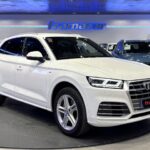 Audi Q5 S line 35 TDI quattro 120 kW (163 CV) S tronic