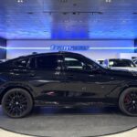 BMW X6 xDrive30d 210 kW (286 CV)