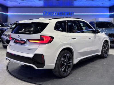 BMW X1 xDrive20d 120 kW (163 CV)