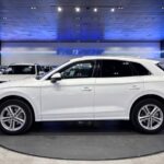 Audi Q5 S line 35 TDI quattro 120 kW (163 CV) S tronic