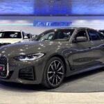 BMW Serie 4 420i Gran Coupe 135 kW (184 CV)