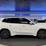 BMW X1 xDrive25e 180 kW (245 CV)