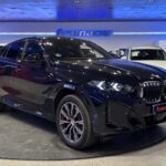 BMW X6 xDrive30d M Sport 219 kW (298 CV)