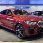 BMW X6 xDrive30d 195 kW (265 CV)