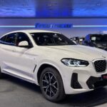 BMW X4 xDrive20d xLine 140 kW (190 CV)