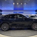 BMW X6 xDrive30d M Sport 219 kW (298 CV)