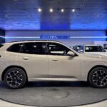 BMW X3 xDrive20d 145 kW (197 CV)