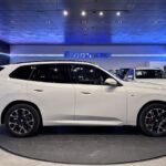 BMW X3 xDrive30e 220 kW (299 CV)