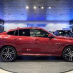 BMW X6 xDrive30d 195 kW (265 CV)