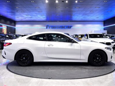 BMW Serie 4 420i Coupe 135 kW (184 CV)