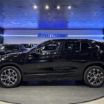 BMW X2 sDrive18d Business 110 kW (150 CV)