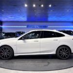 BMW Serie 2 220i Gran Coupe 131 kW (178 CV)