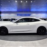 BMW Serie 4 420i Coupe 135 kW (184 CV)