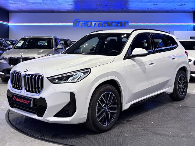 BMW X1 sDrive20d 120 kW (163 CV)