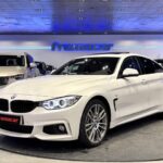BMW Serie 4 435d xDrive Gran Coupe 230 kW (313 CV)
