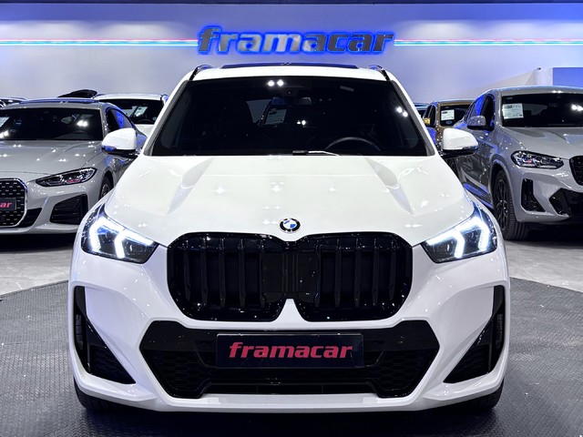 BMW X1 sDrive20d 120 kW (163 CV)