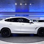 BMW X6 xDrive30d 210 kW (286 CV)