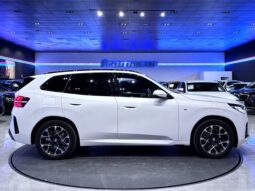 BMW X3 xDrive30e 220 kW (299 CV)