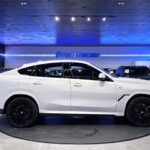BMW X6 xDrive30d M Sport 210 kW (286 CV)