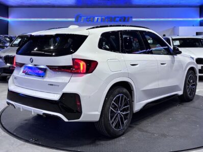 BMW X1 sDrive20d 120 kW (163 CV)